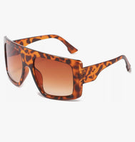 Oversized Sunglasses Bundle