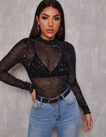 Sparkle Mesh Sheer Top