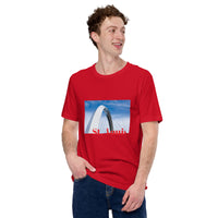 Graphic T-Shirt "St. Louis/314"